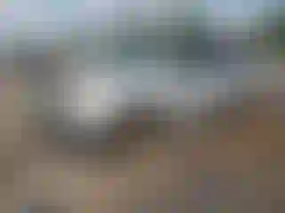 Vehicle Image- 2007 Toyota RAV4