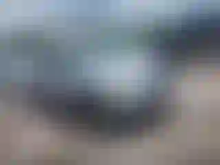 Vehicle Image- 2008 Toyota RAV4