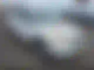 Vehicle Image- 2008 Toyota RAV4