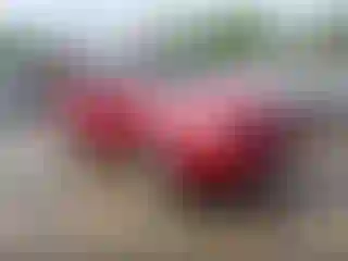 Vehicle Image- 2008 Toyota RAV4
