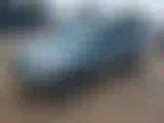 Vehicle Image- 2007 Toyota RAV4