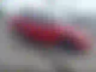Vehicle Image- 2008 Toyota RAV4