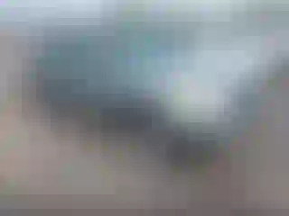 Vehicle Image- 2006 Toyota RAV4