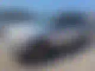 Vehicle Image- 2007 Toyota RAV4