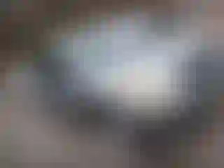 Vehicle Image- 2008 Toyota RAV4