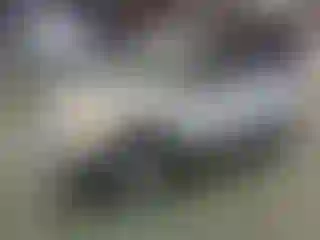 Vehicle Image- 2007 Toyota RAV4