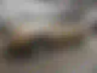 Vehicle Image- 2009 Toyota RAV4