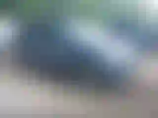 Vehicle Image- 2009 Toyota RAV4