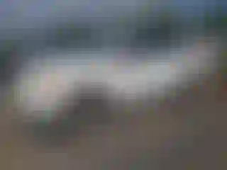 Vehicle Image- 2009 Toyota RAV4