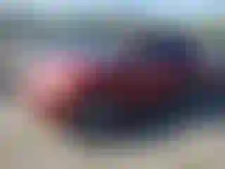 Vehicle Image- 2010 Toyota RAV4