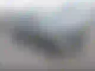 Vehicle Image- 2010 Toyota RAV4