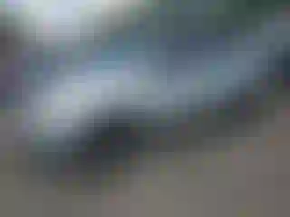 Vehicle Image- 2010 Toyota RAV4
