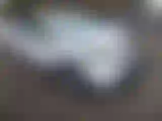 Vehicle Image- 2013 Toyota RAV4