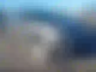 Vehicle Image- 2014 Toyota RAV4