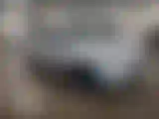 Vehicle Image- 2015 Toyota RAV4