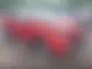 Vehicle Image- 2016 Toyota RAV4