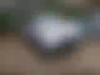 Vehicle Image- 2014 Toyota RAV4