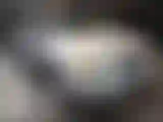 Vehicle Image- 2008 Toyota RAV4