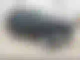 Vehicle Image- 2007 Toyota RAV4