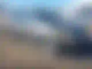 Vehicle Image- 2009 Toyota RAV4