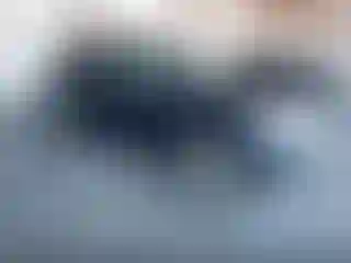 Vehicle Image- 2007 Toyota RAV4