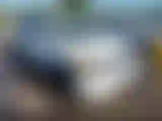 Vehicle Image- 2008 Toyota RAV4