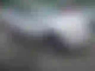 Vehicle Image- 2008 Toyota RAV4