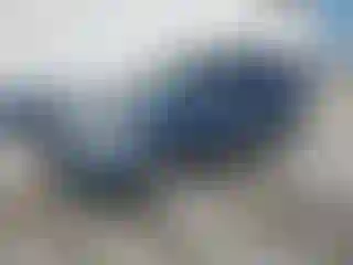 Vehicle Image- 2008 Toyota RAV4