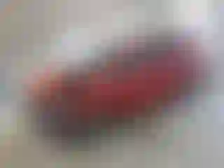 Vehicle Image- 2008 Toyota RAV4