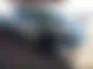Vehicle Image- 2009 Toyota RAV4