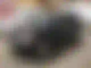 Vehicle Image- 2008 Toyota RAV4