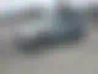 Vehicle Image- 2008 Toyota RAV4