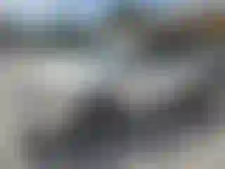 Vehicle Image- 2006 Toyota RAV4
