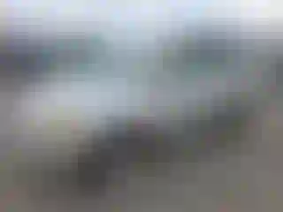 Vehicle Image- 2007 Toyota RAV4