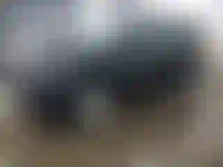 Vehicle Image- 2007 Toyota RAV4