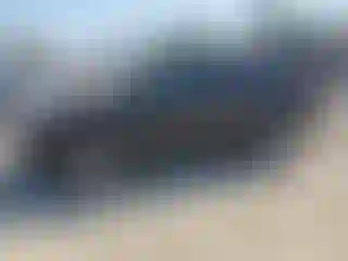 Vehicle Image- 2007 Toyota RAV4