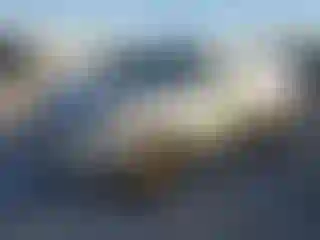 Vehicle Image- 2008 Toyota RAV4