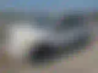 Vehicle Image- 2009 Toyota RAV4