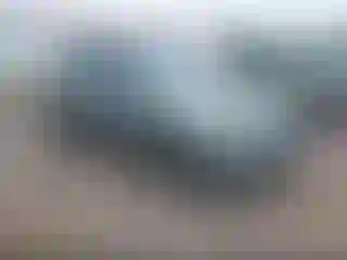 Vehicle Image- 2006 Toyota RAV4