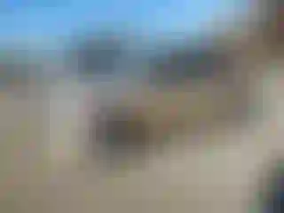 Vehicle Image- 2010 Toyota RAV4