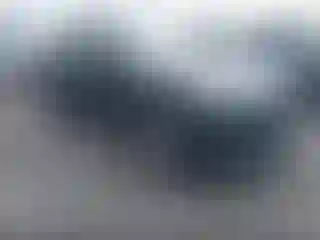 Vehicle Image- 2019 Toyota RAV4