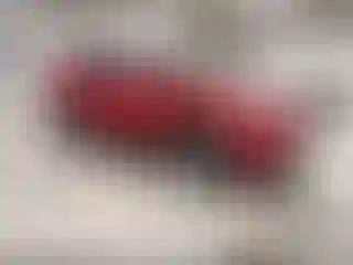 Vehicle Image- 2022 Toyota RAV4