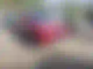 Vehicle Image- 2018 Toyota RAV4