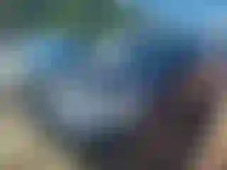 Vehicle Image- 2016 Toyota RAV4