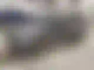 Vehicle Image- 2016 Toyota RAV4