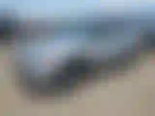 Vehicle Image- 2021 Toyota RAV4