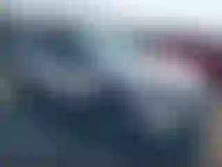 Vehicle Image- 2019 Toyota RAV4
