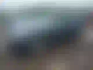 Vehicle Image- 2019 Toyota RAV4