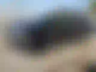 Vehicle Image- 2019 Toyota RAV4