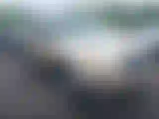 Vehicle Image- 2010 Toyota RAV4